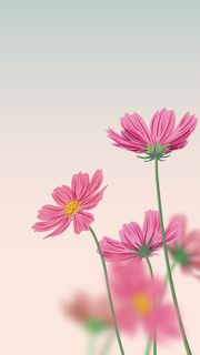 小清新唯美花朵手机壁纸